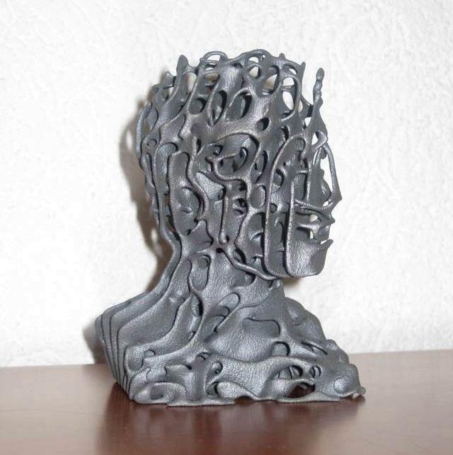 3D-печатный Человек Реакционной Диффузии от Dizingof 